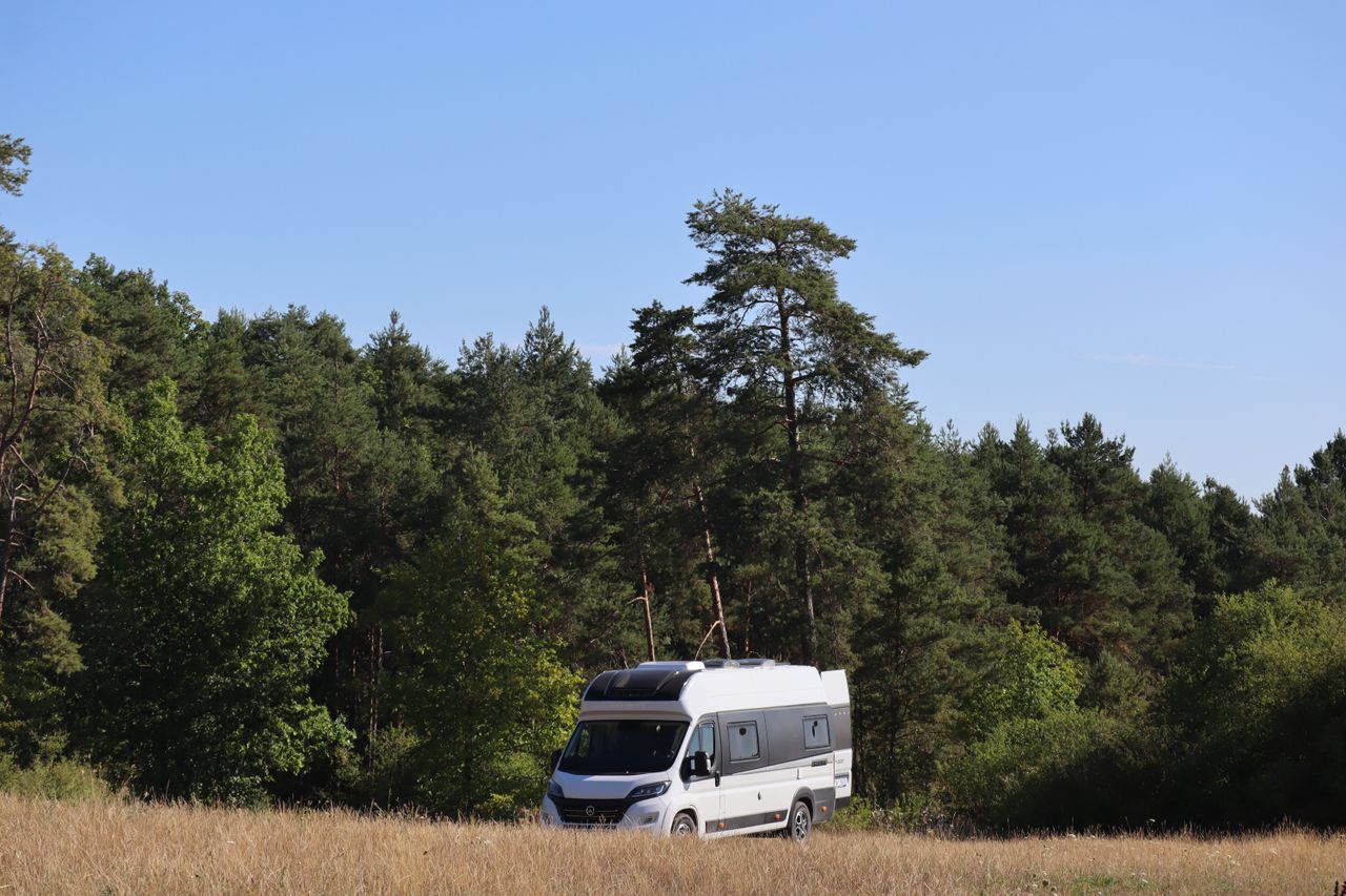 A campervan enjoys the serene beauty of a forest setting at Fralignes, perfect for off-grid living.